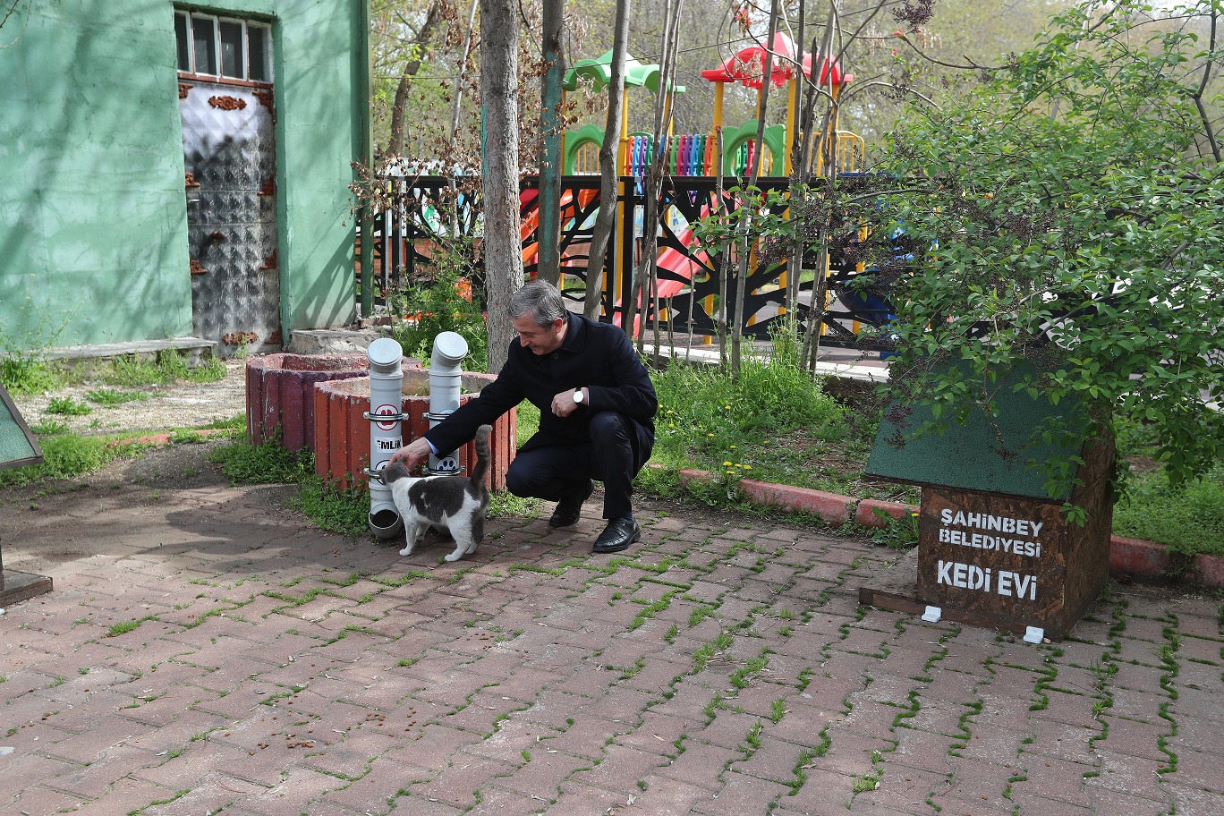 �ahinbey Belediyesi Sokak Hayvanlar�n� Unutmad�