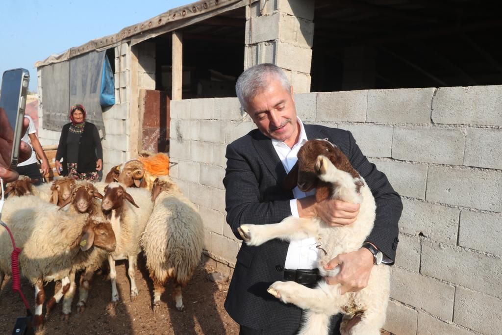 Belediyemizin Destekleri �le Hayvan Yeti�tiricili�i Artt�