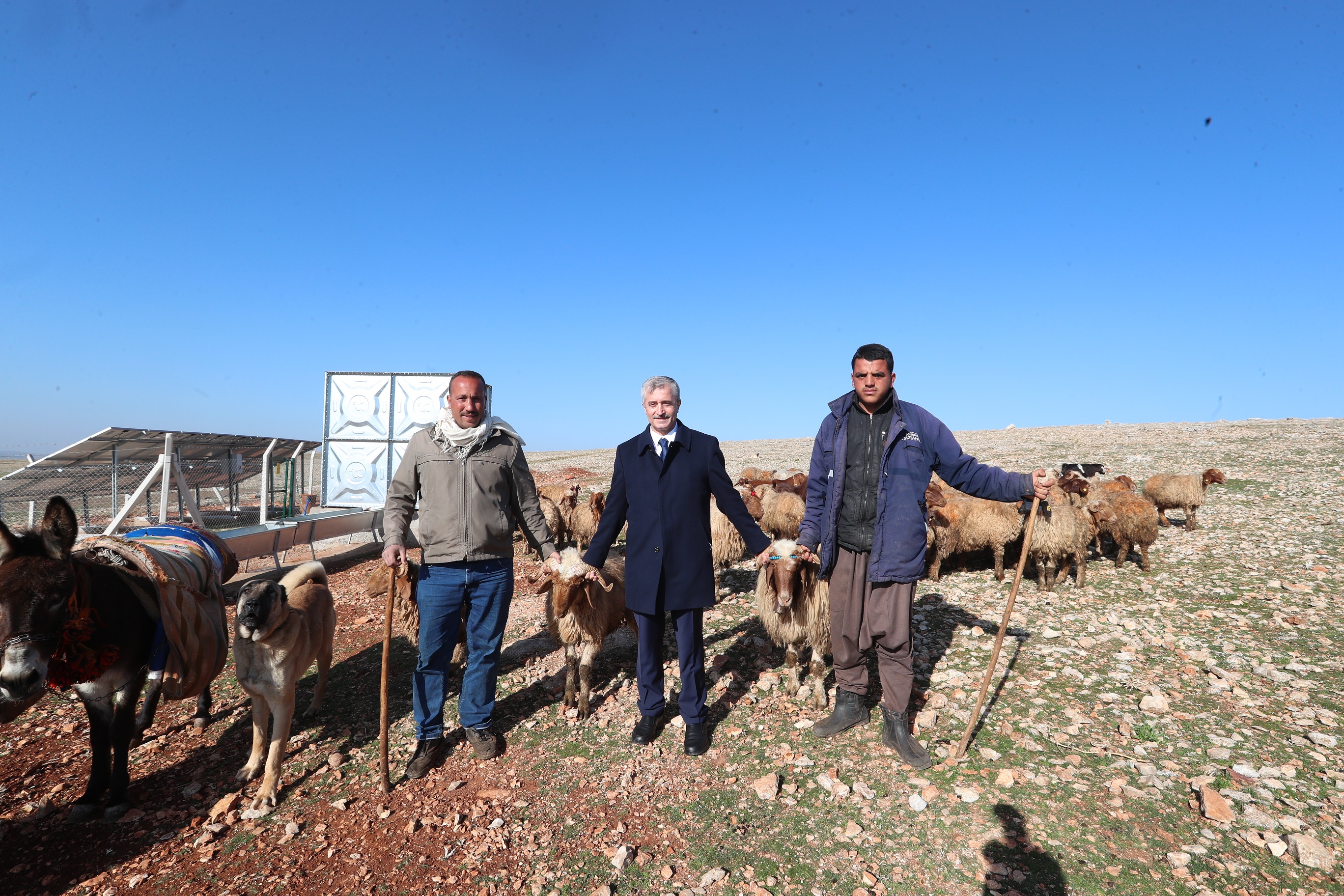 Belediyemizden Hayvanc�l��a Dev Destek