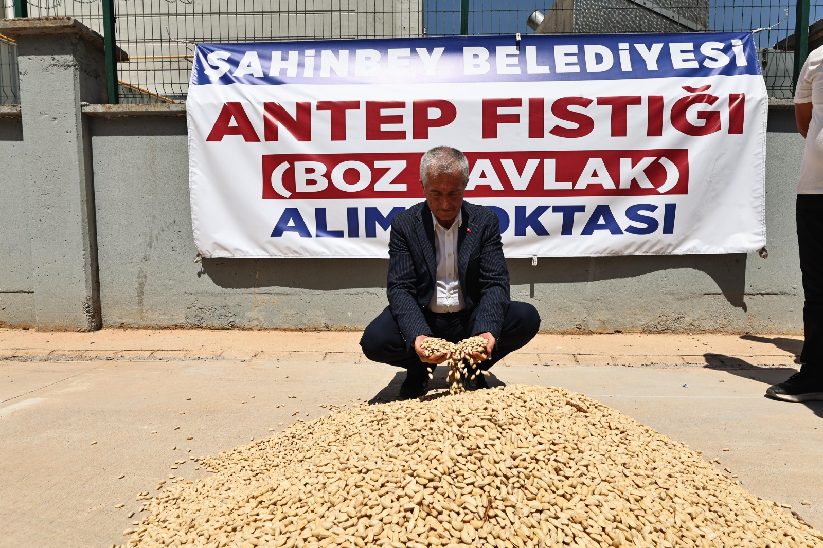 Belediyemiz F�st�k Al�m�na Ba�lad�
