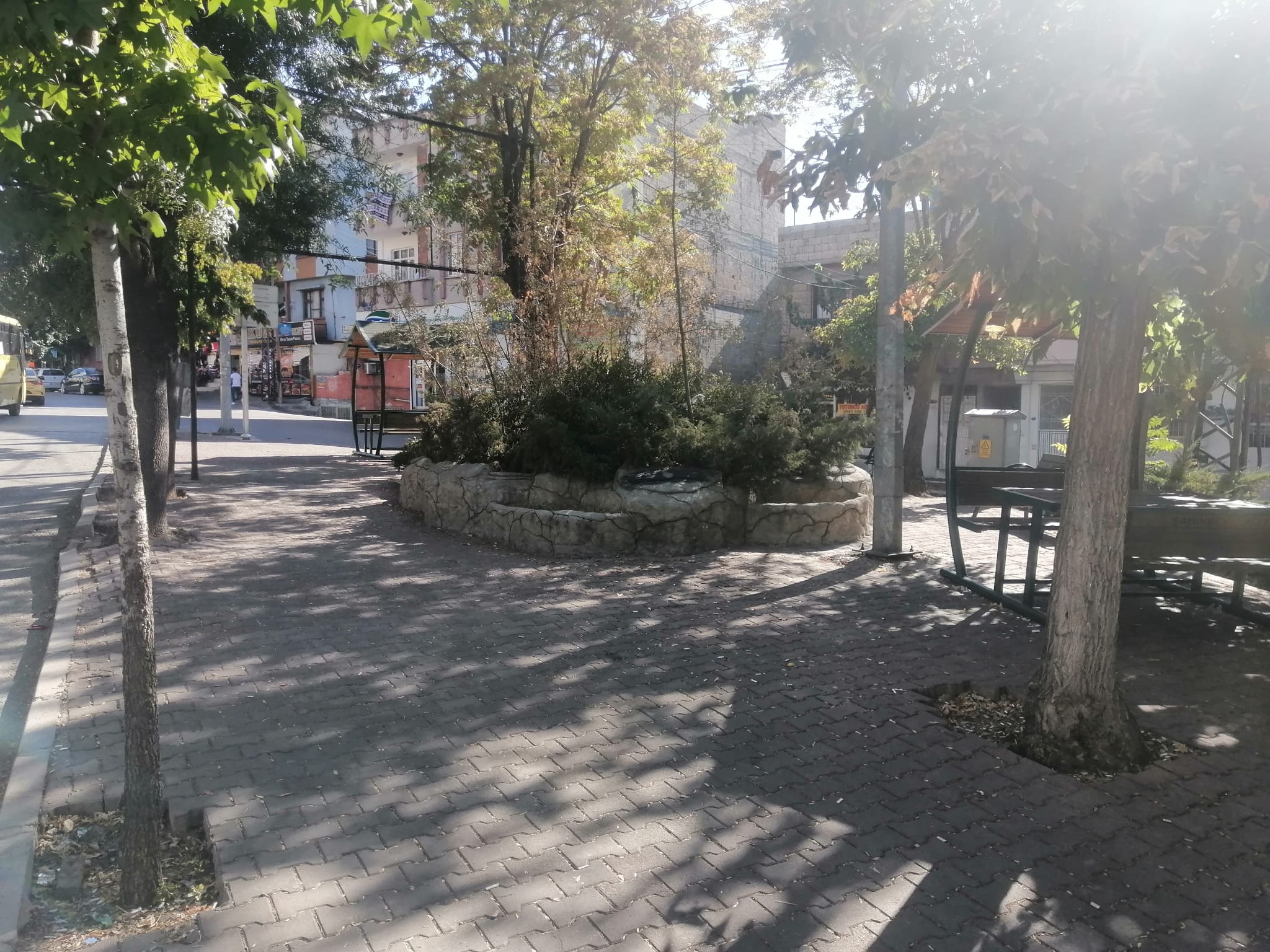 60. Y�l 5 Nolu Park