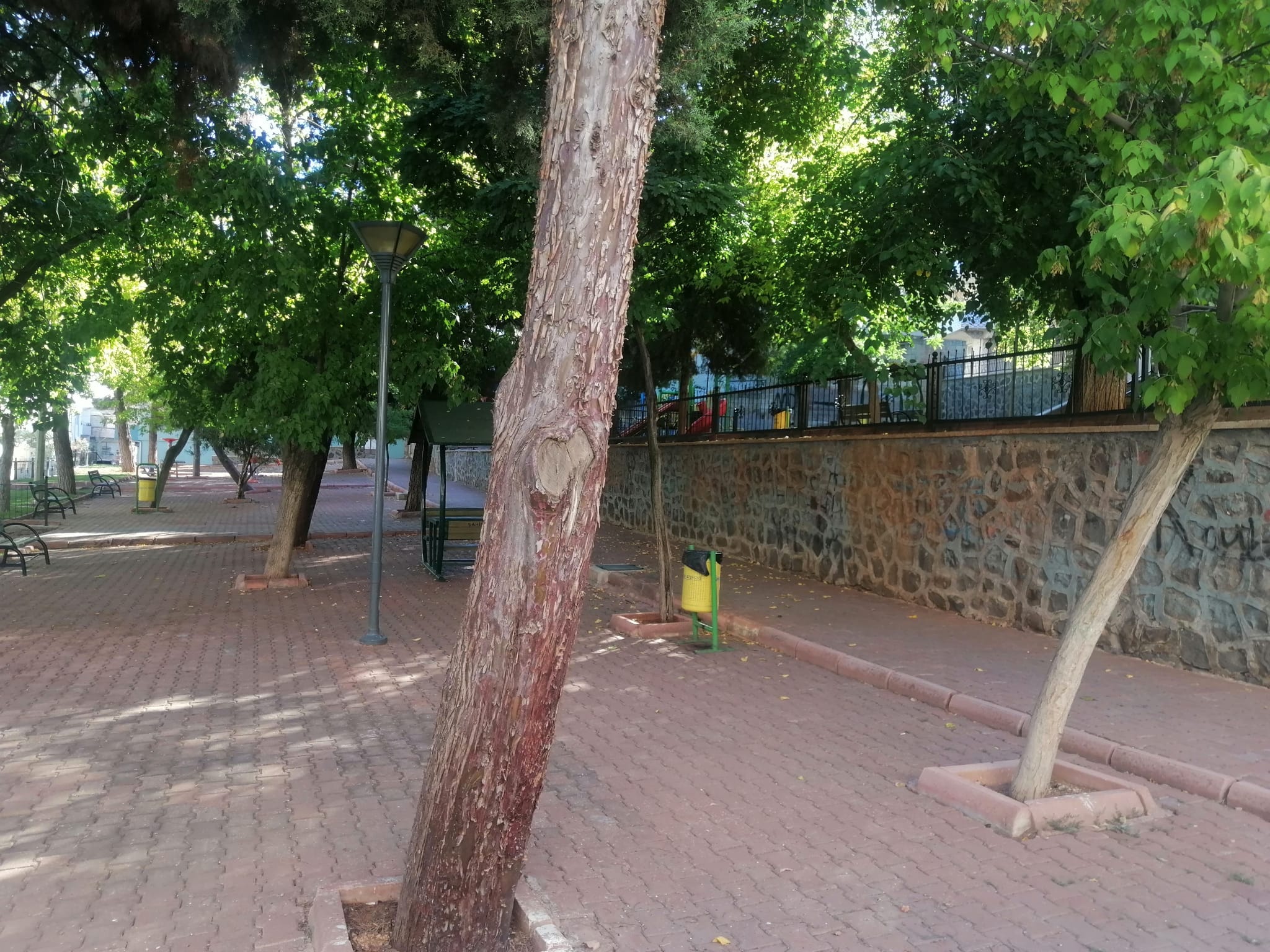 60. Y�l 3 Nolu Park