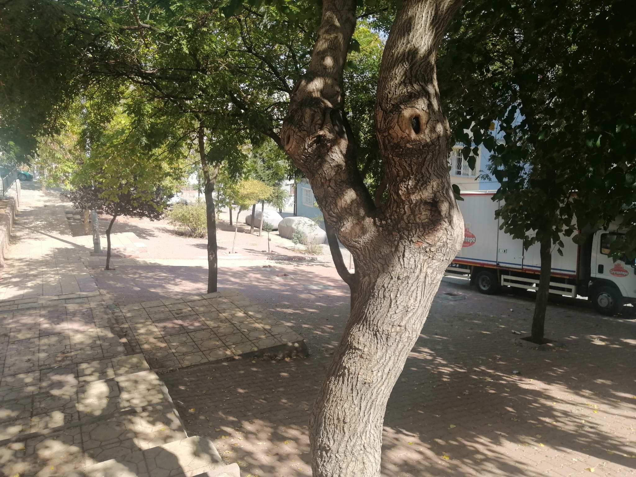 Beybah�e Mahallesi 1 Nolu Park  
